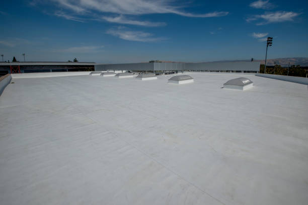 Best Skylight Installation and Repair  in Dauphin, PA