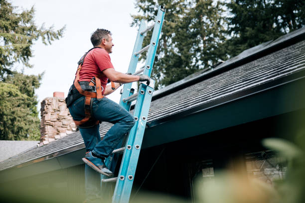 Best Roof Insulation Installation  in Dauphin, PA