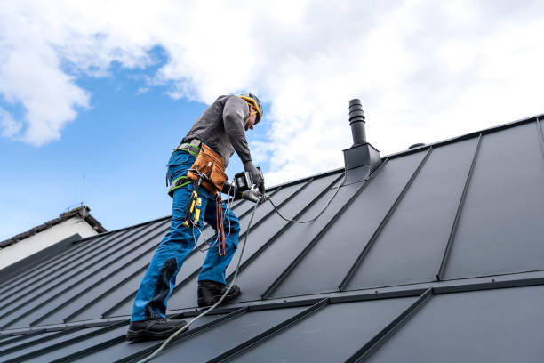 Best Roof Coating and Sealing  in Dauphin, PA