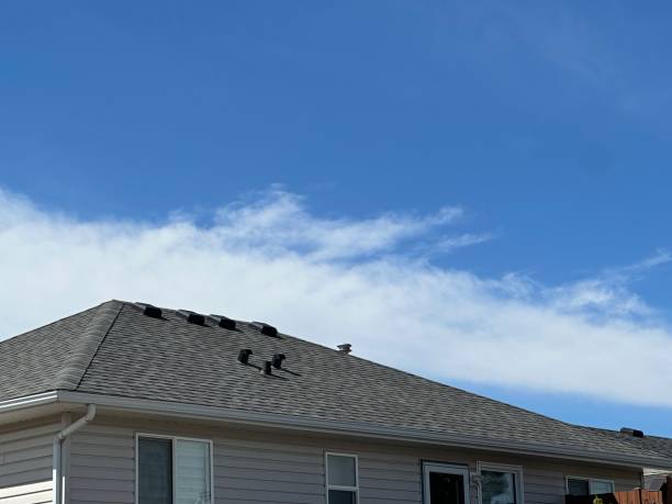 Best Roof Coating and Sealing  in Dauphin, PA