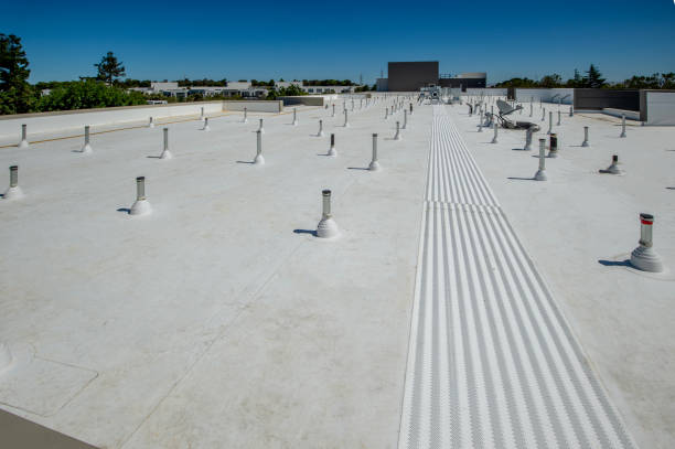 Best Skylight Installation and Repair  in Dauphin, PA